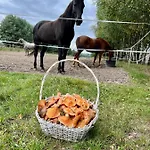 Domkitomki, Winnica Sindaco Holiday home Biskupice (Czestochowa)