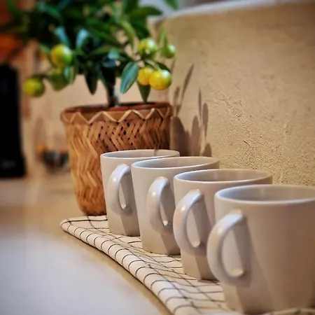 Domkitomki, Winnica Sindaco *