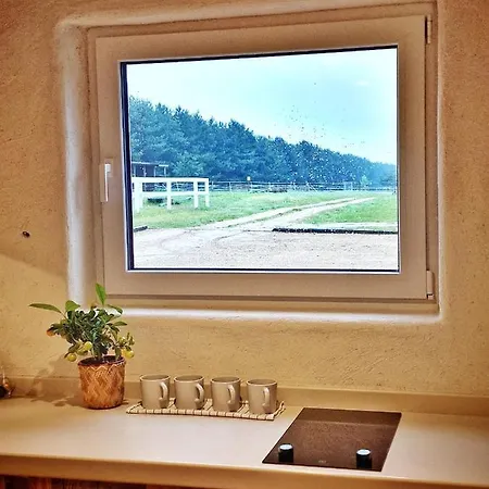 Domkitomki, Winnica Sindaco Semesterbostad *