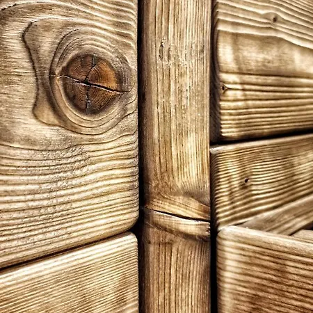 Domkitomki, Winnica Sindaco * Biskupice Kocurów