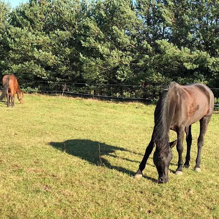 Сasa de vacaciones Domkitomki, Winnica Sindaco *