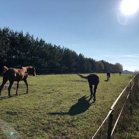Domkitomki, Winnica Sindaco Semesterbostad Biskupice Kocurów