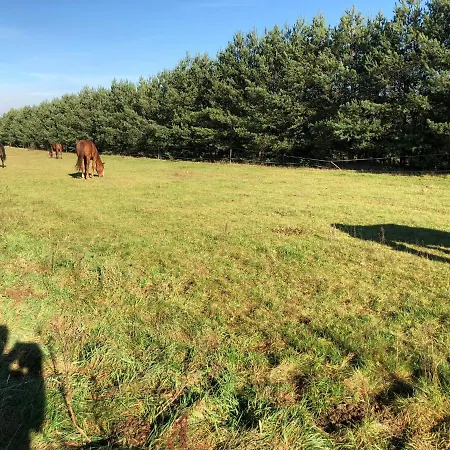 Domkitomki, Winnica Sindaco * Biskupice
