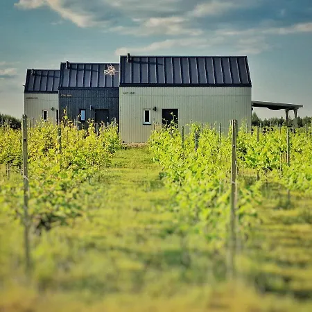 Domkitomki, Winnica Sindaco