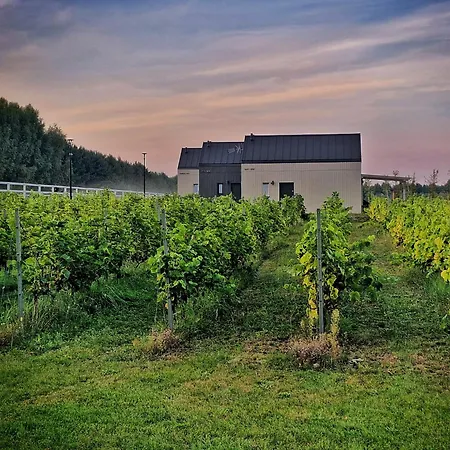 Domkitomki, Winnica Sindaco Dom wakacyjny