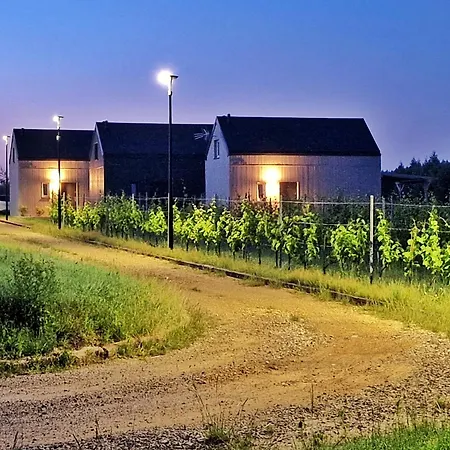 Domkitomki, Winnica Sindaco Biskupice