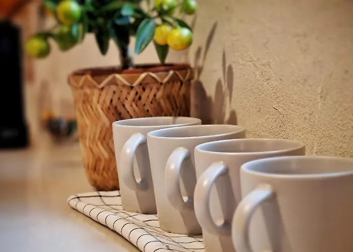 Domkitomki, Winnica Sindaco *