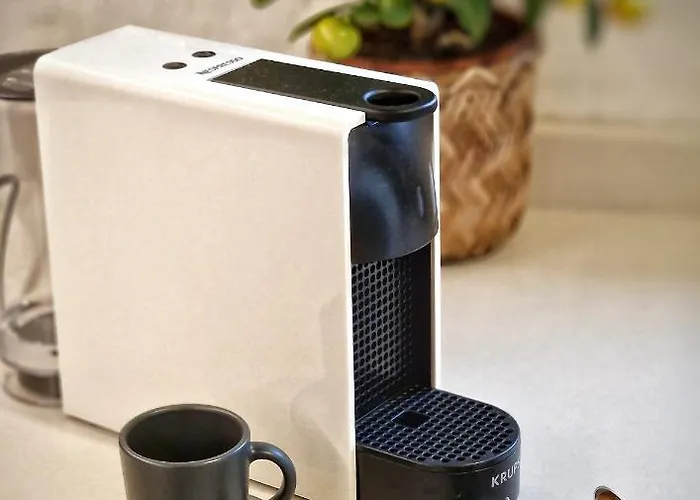 Domkitomki, Winnica Sindaco Biskupice