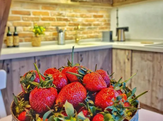 Domkitomki, Winnica Sindaco Vakantiehuis Biskupice Kocurów