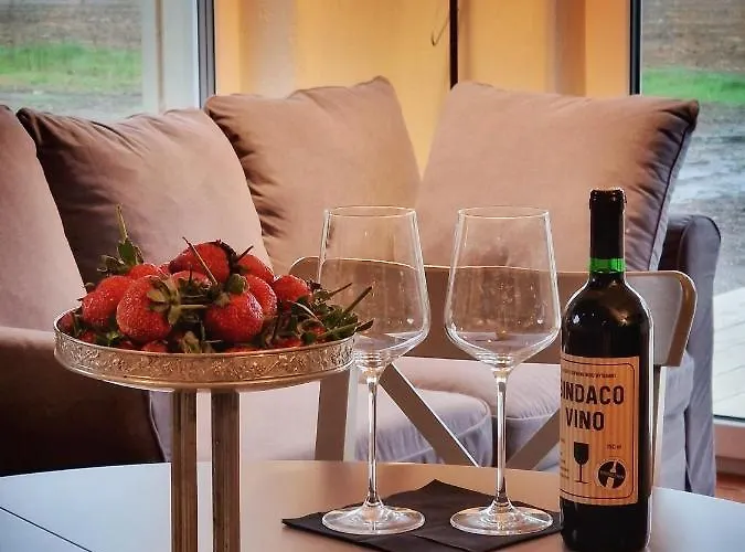 Domkitomki, Winnica Sindaco Сasa de vacaciones Biskupice Kocurów