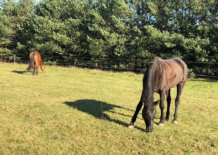 Dom wakacyjny Domkitomki, Winnica Sindaco *