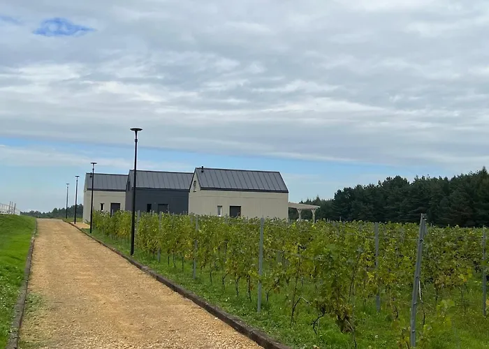 Vakantiehuis Domkitomki, Winnica Sindaco